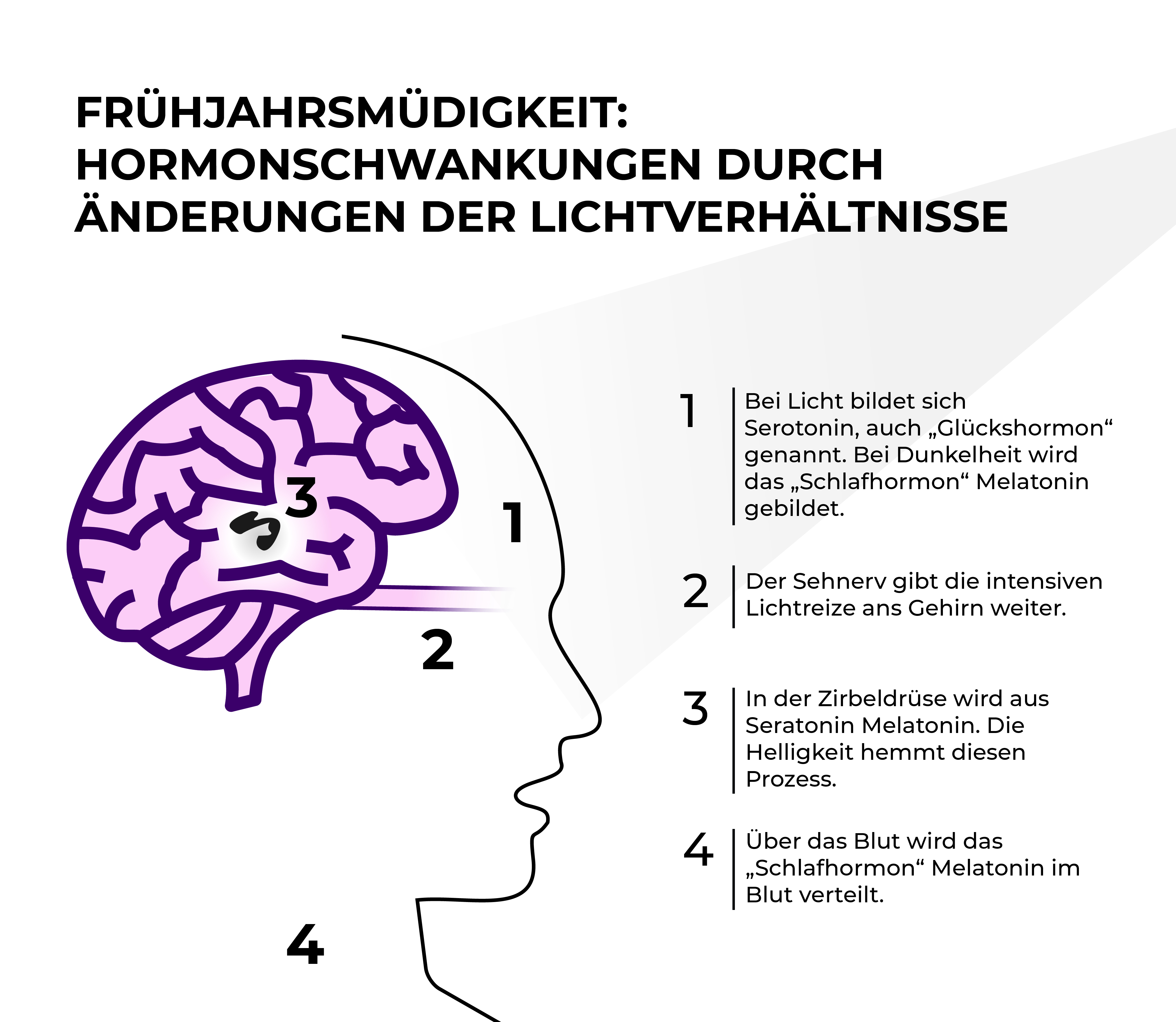 infografik-fruehjahrsmuedigkeit