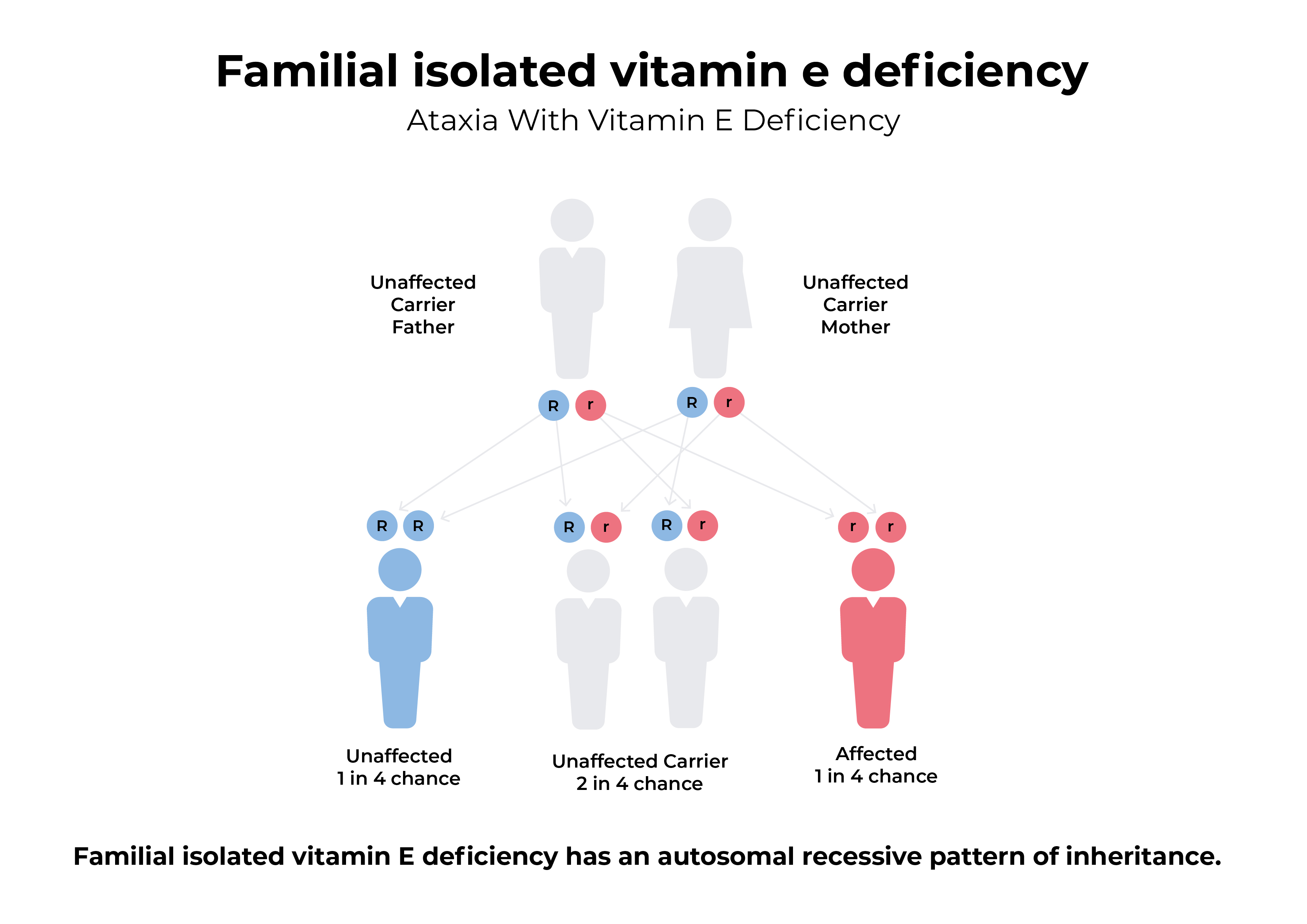 infografik-rezessive-vererbung-vitamin-e-mangel
