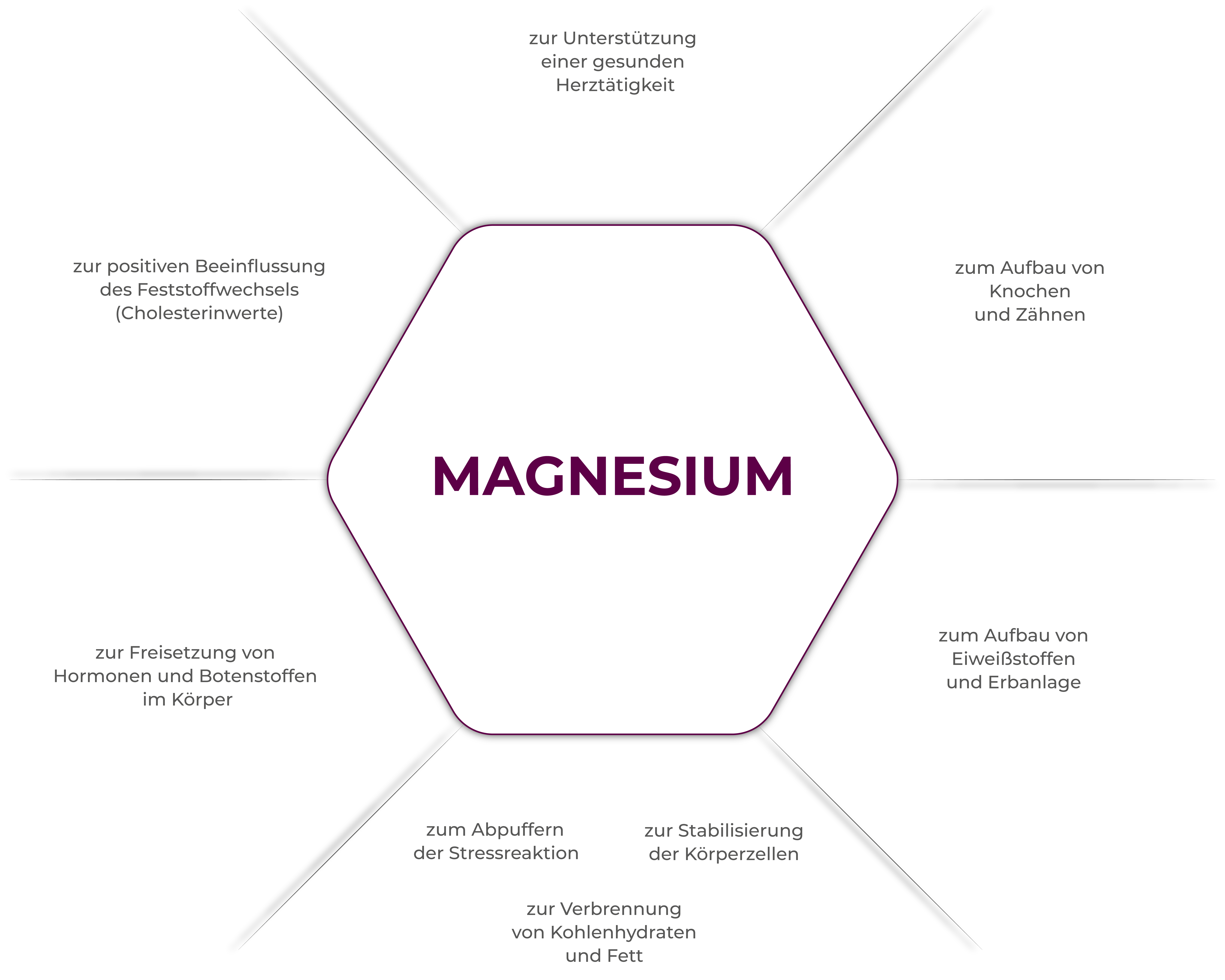 Magnesium FINAL